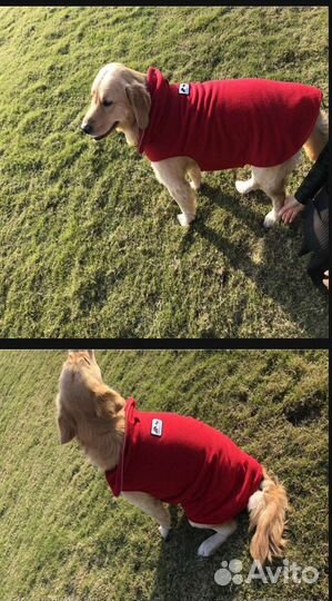 Дождевик, накидка для собак