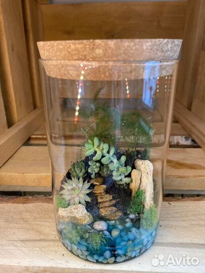 Флорариумы в наличии и под заказ