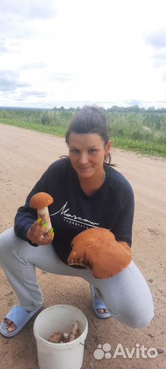 Подосиновик