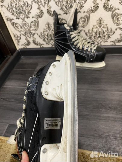 Коньки Барс Торнадо