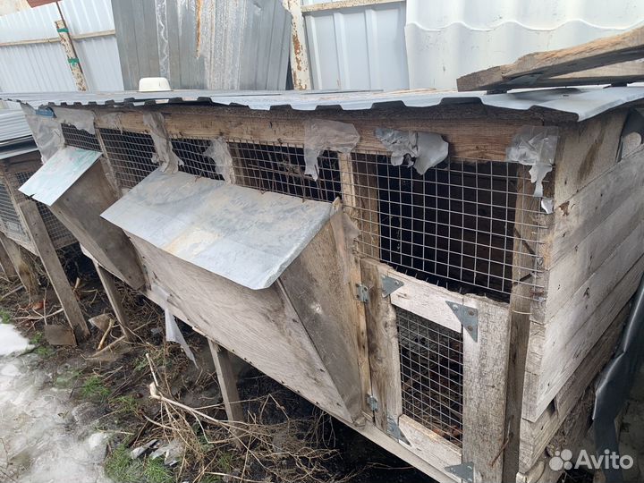 Клетка для кроликов (кролятня)