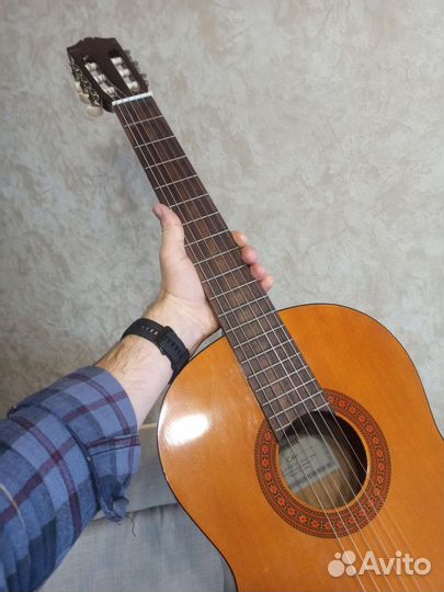 Гитара в прокат, гитара в аренду