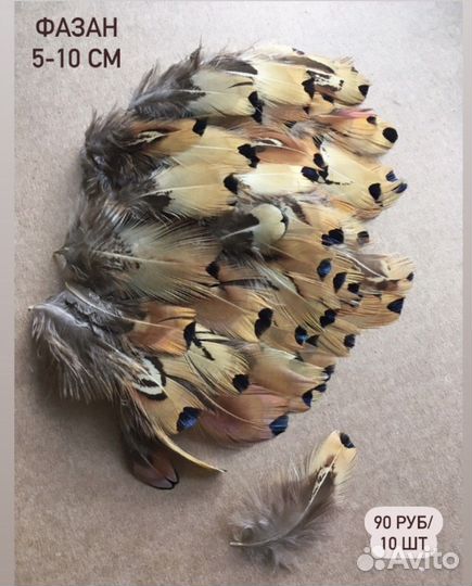 Набор перьев фазана для творчества