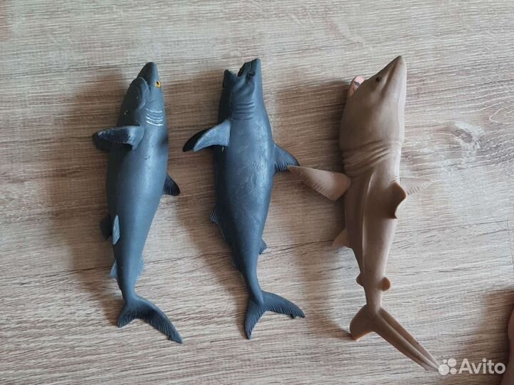 Коллекции лягушек, акул, геконов