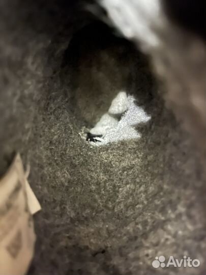 Сапожки Kuoma Putkivarsi 34