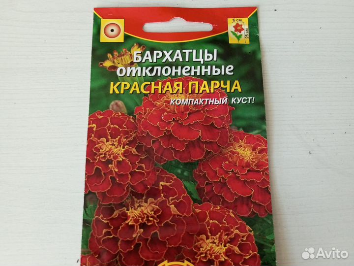 Рассада цветов циния, бархатцы