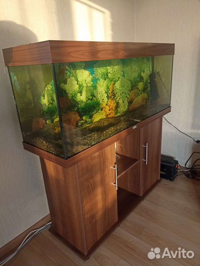 Аквариум с тумбой juwel 240