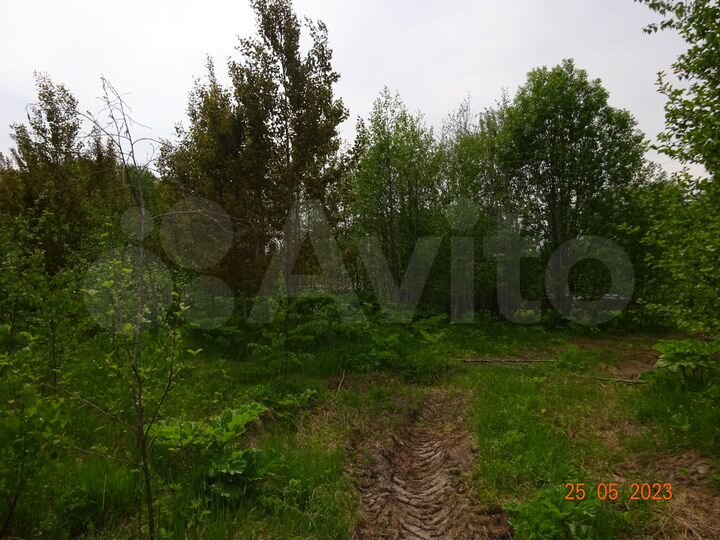 Участок 20 сот. (СНТ, ДНП)