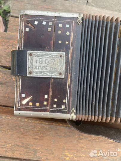 Гармонь любительская Победа