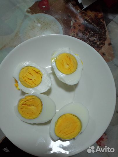 Домашние куриные яйца