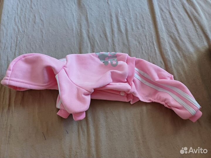 Костюм для маленькой собачки