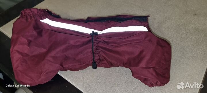 Комбинезон для маленькой собаки девочки