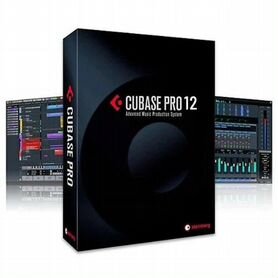 Cubase 12 pro