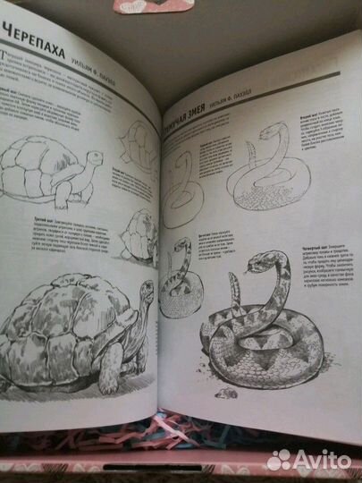 Основы рисования (лучшие уроки)