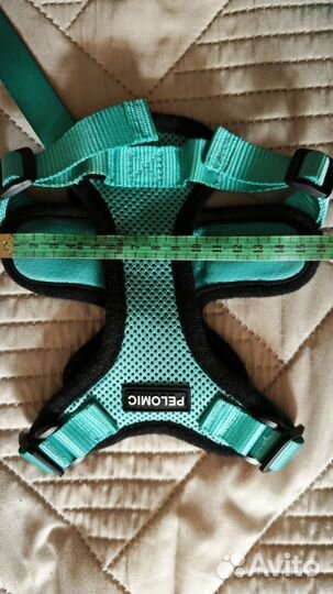 Шлейка и поводок для кошек