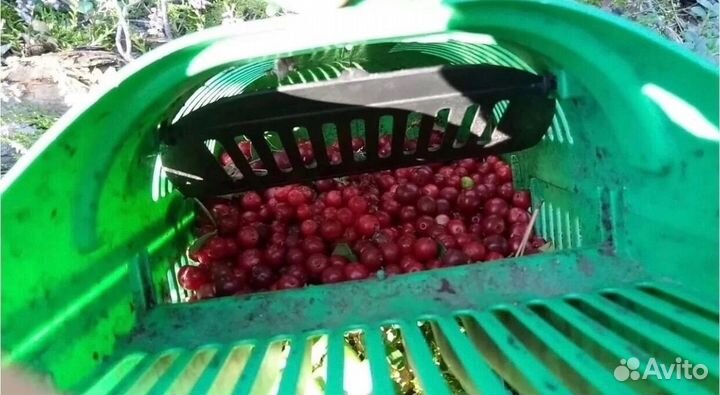 Ручной комбайн для сбора ягод/Плодосъемник