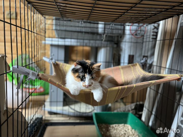 Я очень хочу домой