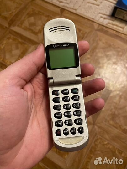 Motorola V50