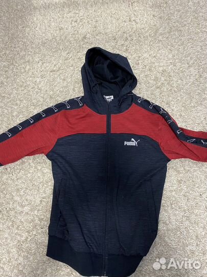 Puma с лампасами