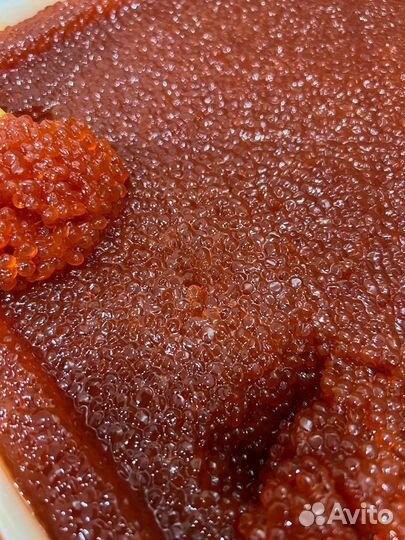 Свежая Красная Икра 2023 Премиум Нерка/Камчатка