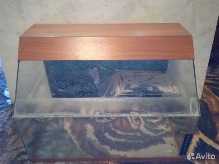 Террариум для красноухой черепахи