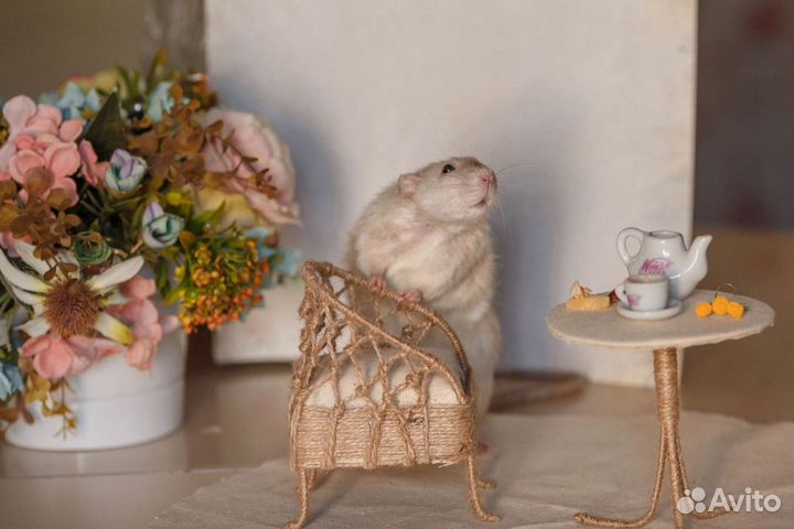 Реквизит для фотосессий