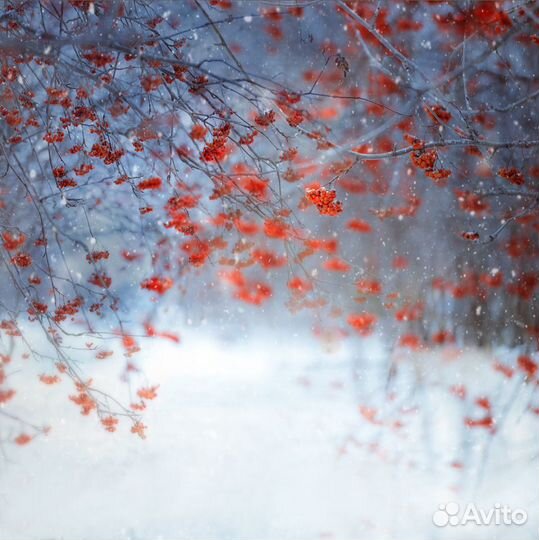 Банер, фото фон для фотосъемки