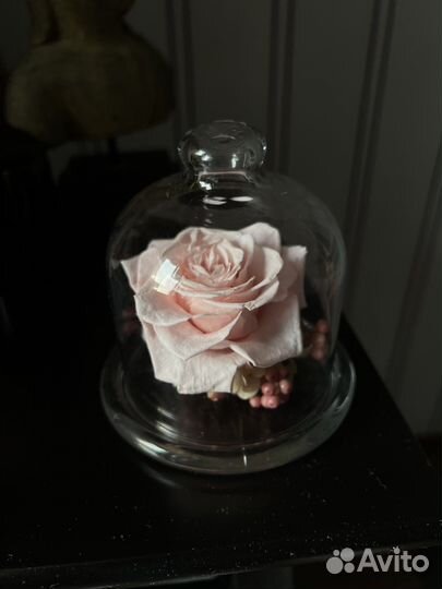 Вечная роза в колбе