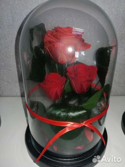 Живая роза в колбе