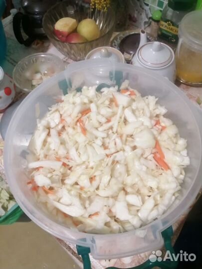 Няня, компаньонка для пожилого человека, помощница