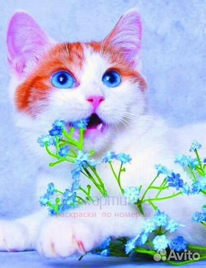 Алмазная мозаика 40x50 Котик играет с голубым