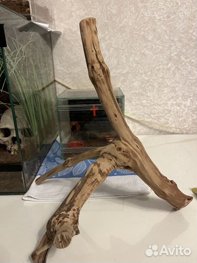 Коряга в аквариум