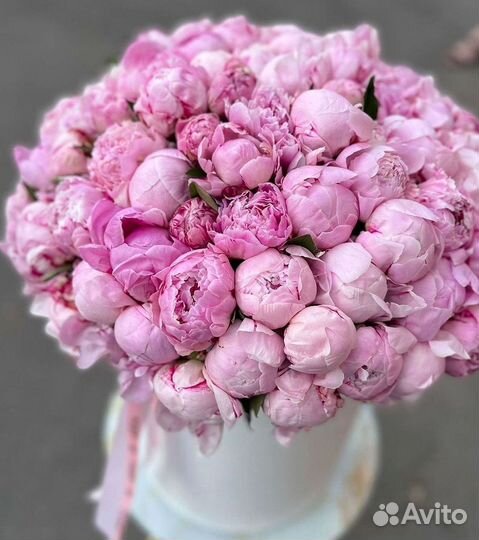 Пионы Букет пионов