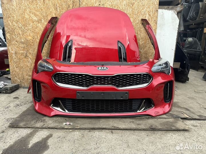 Ноускат Kia stinger