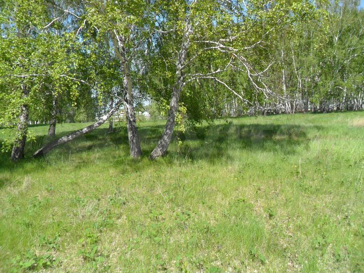 Участок 10 сот. (СНТ, ДНП)