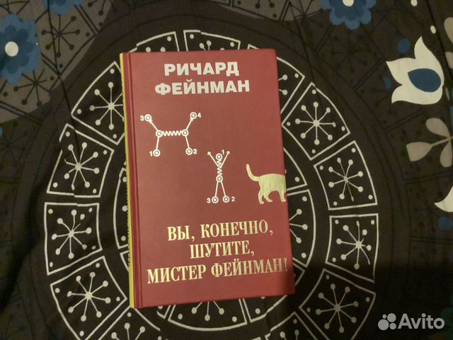 Книга вы шутите мистер фейнман