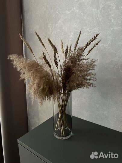 Колосья пшеницы