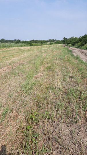 Участок 19,4 га (СНТ, ДНП)