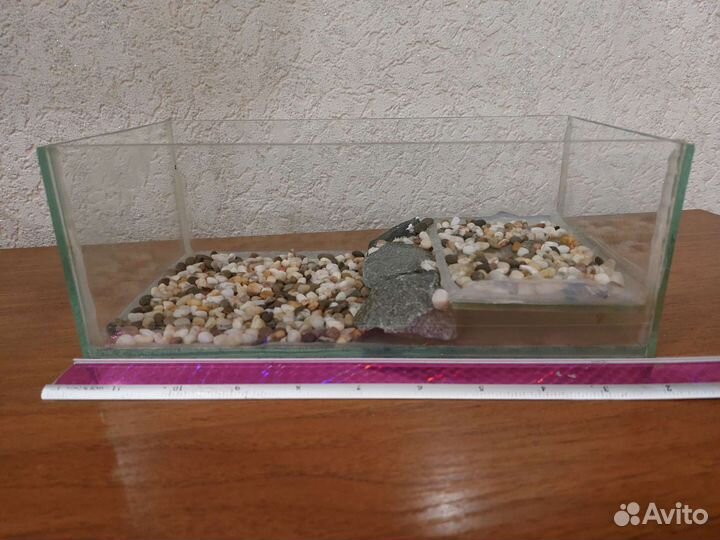 Террариум маленький