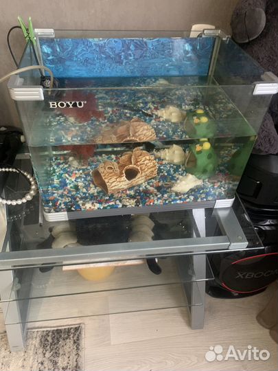 Аквариум