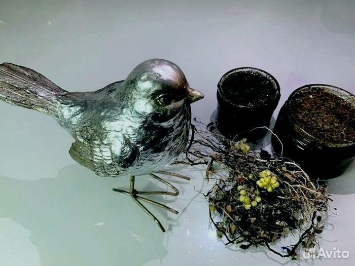 Усилитель потенции мужчин