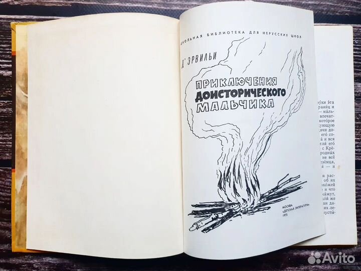 Д Эрвильи Э. Приключения доисторического мальчика