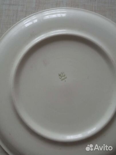 Блюдо, Конаково, Зик