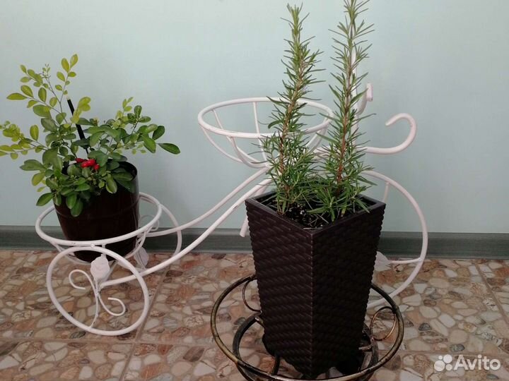 Подставки под цветы, для фотосессий