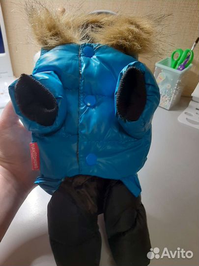 Одежда для животных