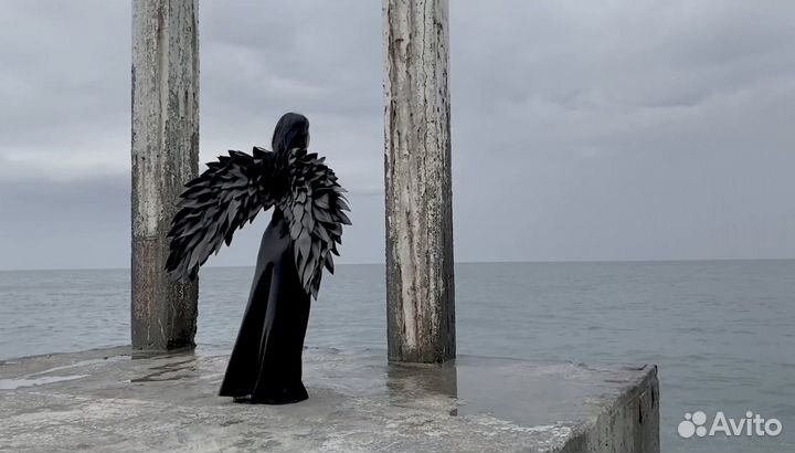 Видеооператор