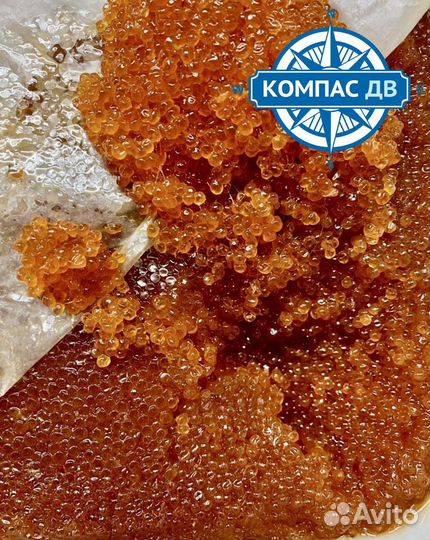 Красная икра Горбуши опт 1000 г. в наличии в Москв