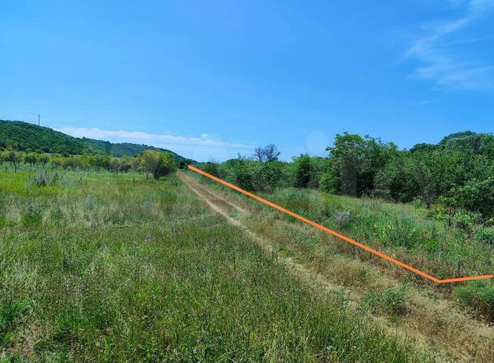 Участок 44 сот. (СНТ, ДНП)