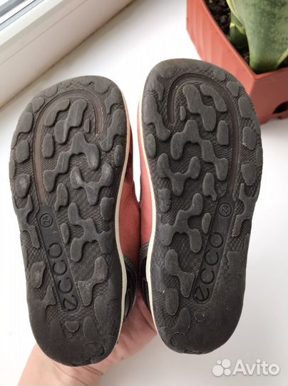 Босоножки ecco 24