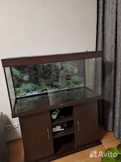 Аквариум с внешним фильтром